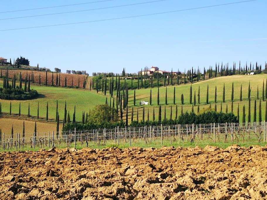 Castello Di Fulignano Ildebrando Superior Apartment سان جيمينيانو المظهر الخارجي الصورة